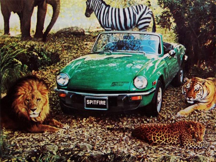  Triumph Spitfire 1500 1973 года  (NA) (фото 2 из 7)